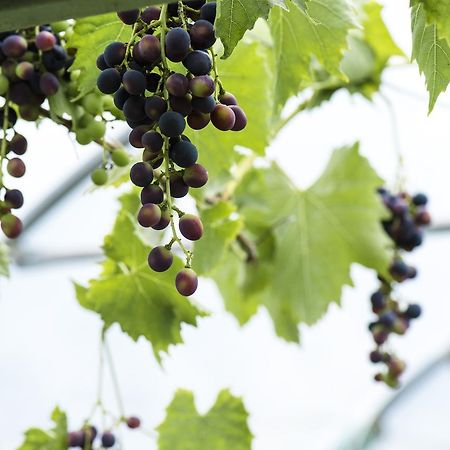 مبيت وإفطار Dundonald  Peartree Hill المظهر الخارجي الصورة