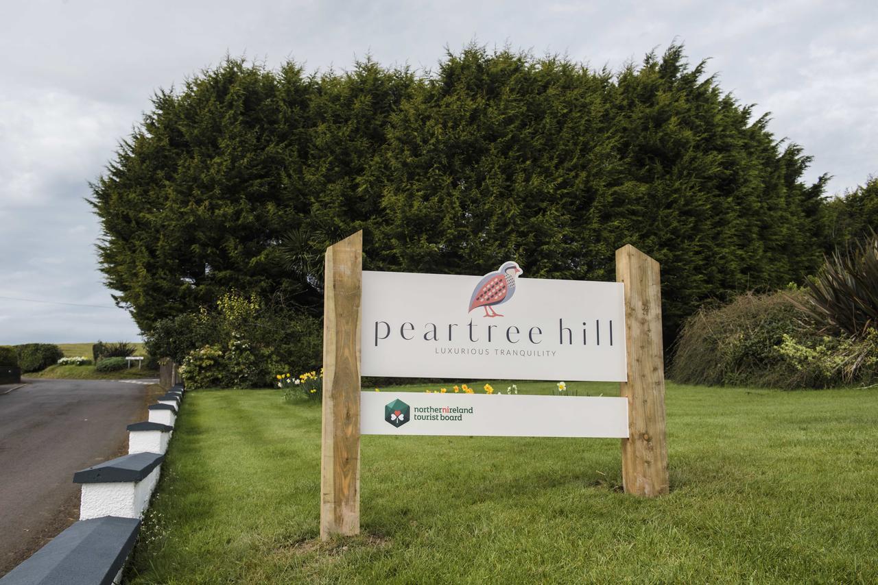 مبيت وإفطار Dundonald  Peartree Hill المظهر الخارجي الصورة